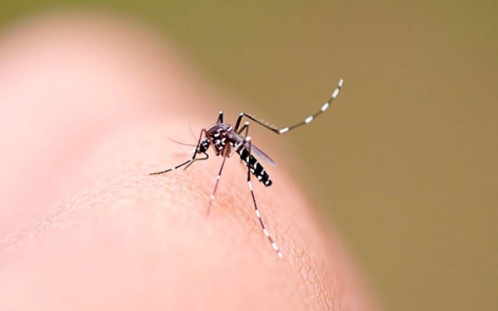 Estado repassa R$ 5 milhões aos municípios catarinenses para o combate do Aedes aegypti