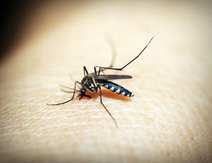 Timbó abre Centro de Atendimento para a Dengue - Veja como vai funcionar