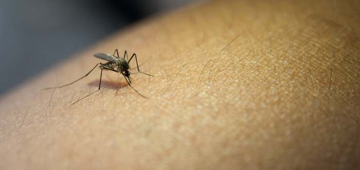 Serviços da Saúde serão alterados em virtude do aumento de casos de Dengue