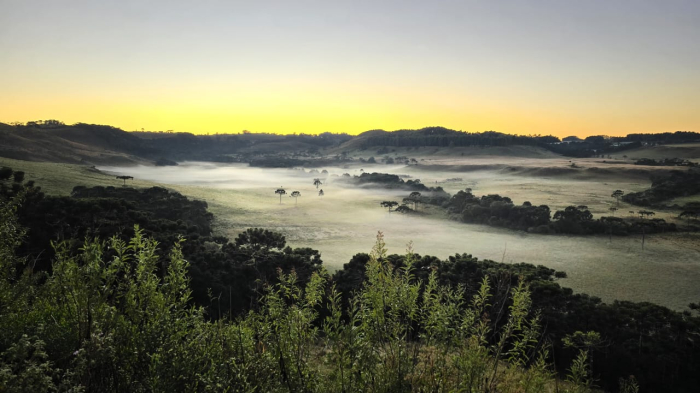 Primeira geada do ano em SC é registrada no Vale Caminhos da Neve na Serra Catarinense