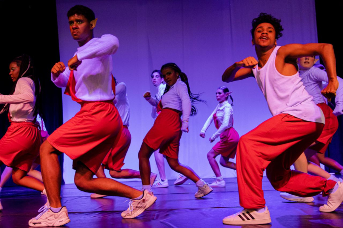 FIC abre inscrições para cursos gratuitos de Dança