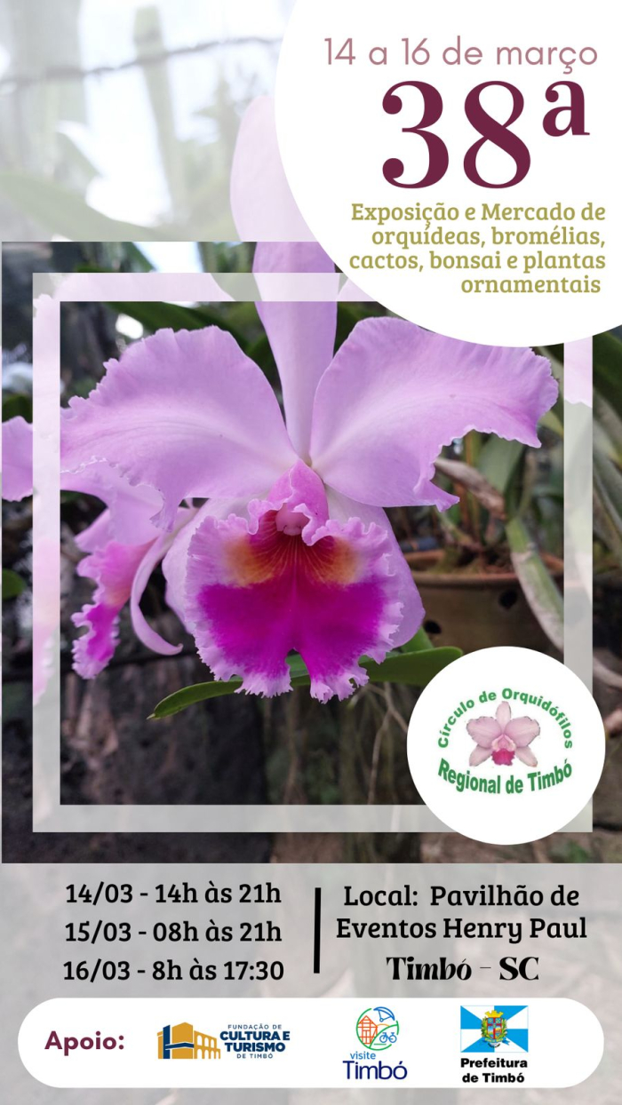 38ª Exposição de Orquídeas encanta Timbó-SC com beleza e diversidade