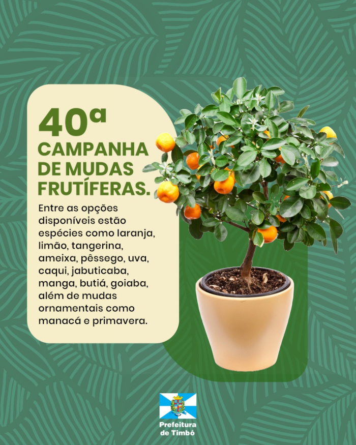 Campanha de Mudas Frutíferas de Timbó completa 40 anos com variedade especial em 2025