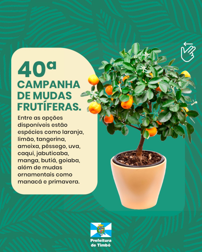 Campanha de Mudas Frutíferas de Timbó completa 40 anos com variedade especial em 2025