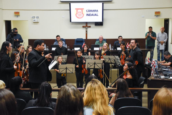 Câmara recebe apresentação do programa SensibilizArte