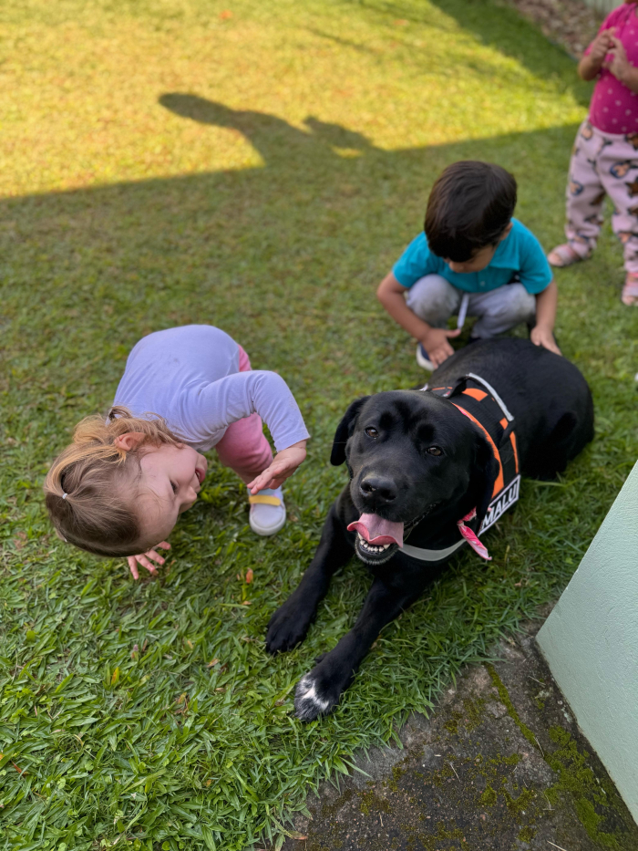 Cadela Malu, mascote da Defesa Civil de Timbó, participa de visitas em Unidades de Ensino da cidade