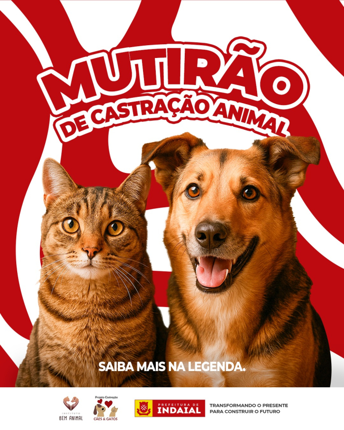 Mutirão de Castração de Cães e Gatos será realizado no dia 20 de julho