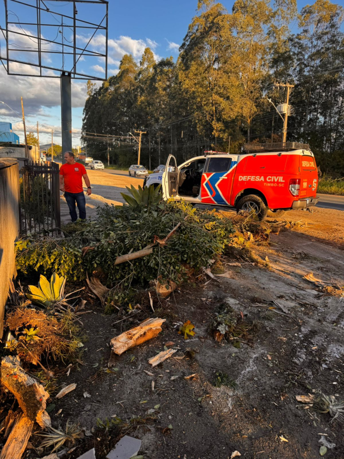 Timbó registra apenas uma ocorrência em razão dos ventos desta segunda-feira, dia 28