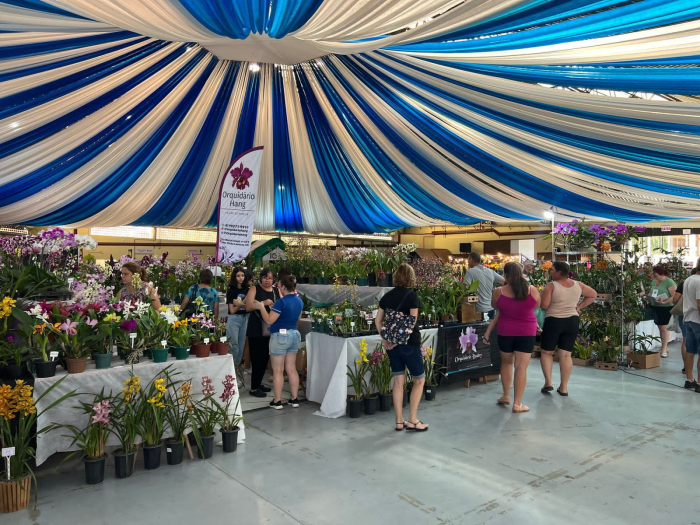 Timbó recebe a 39ª Exposição e Mercado de Orquídeas, Bromélias, Cactos, Bonsai e Plantas Ornamentais