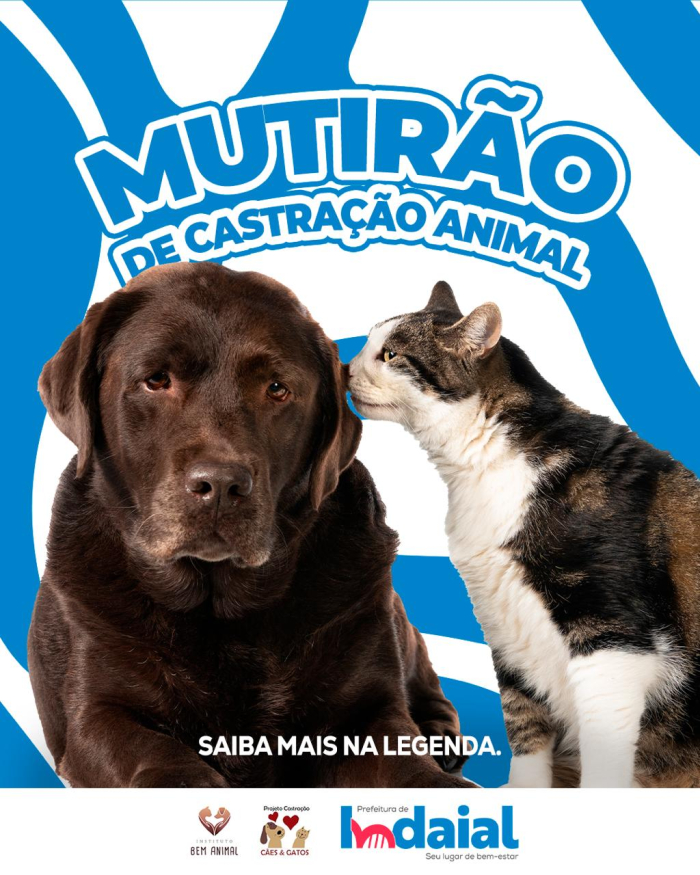 Mutirão de Castração de Cães e Gatos acontece em Indaial no dia 18 de outubro