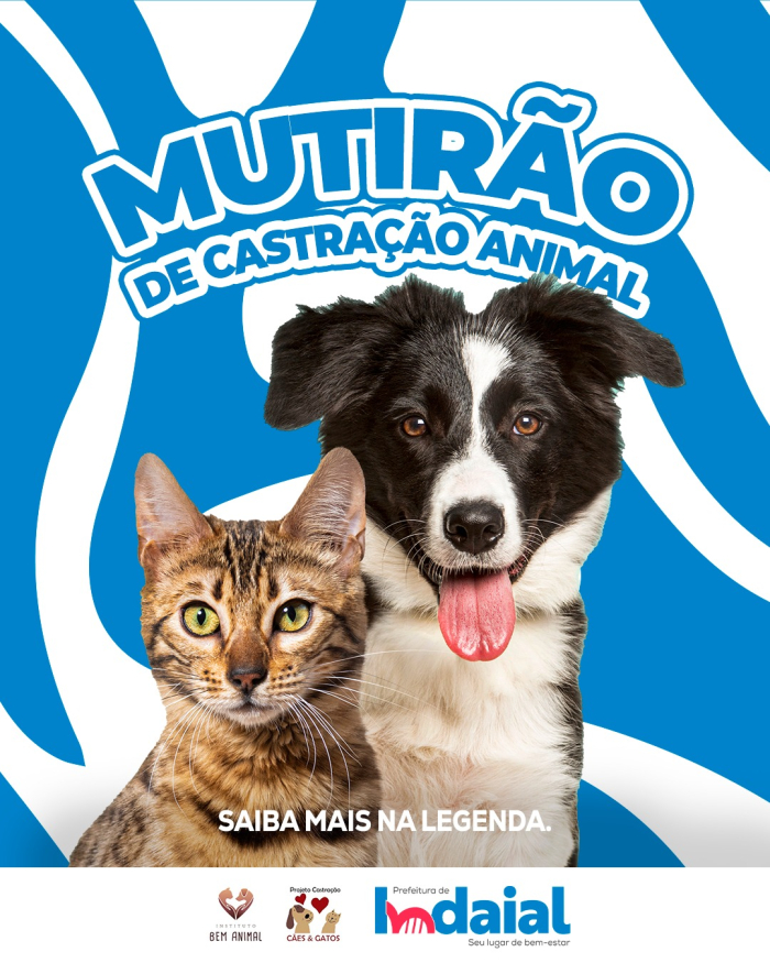 Mutirão de Castração de Cães e Gatos acontece em Indaial no dia 16 de novembro