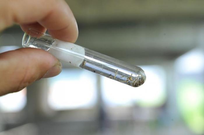 Aumento de 73,7% dos focos de dengue faz Blumenau intensificar combate ao Aedes