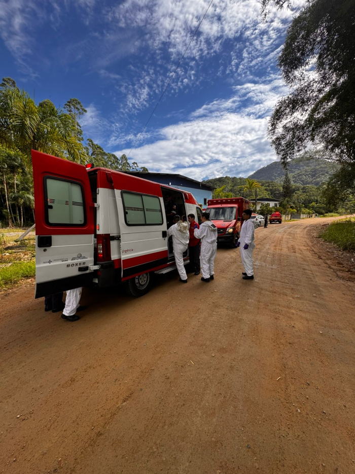 Defesa Civil de Timbó atende ocorrência de ataque de abelhas na localidade da Mulde