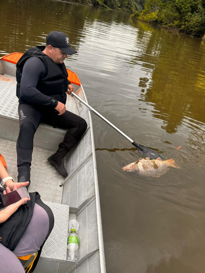 Após denúncias, Defesa Civil aciona órgãos ambientais para apurar contaminação no Rio Benedito