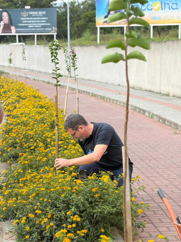 Ponte Zelir Tirol recebe plantio de extremosas para embelezamento urbano