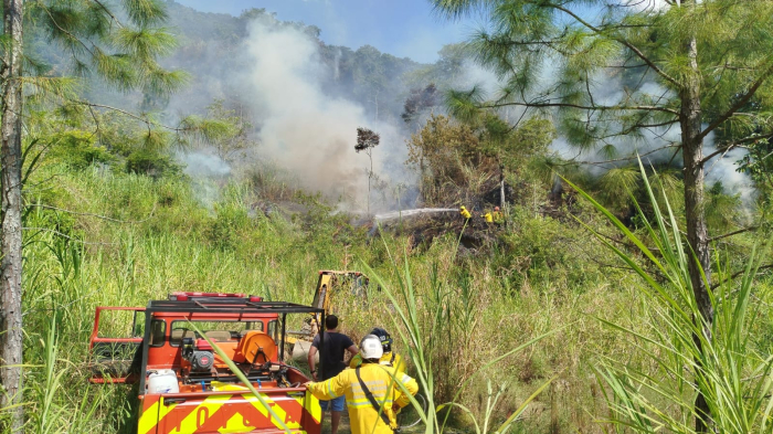 Prefeitura de Timbó presta apoio imediato e reforça combate a incêndio em vegetação no bairro Padre Martinho Stein
