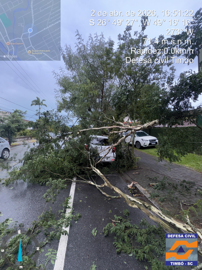 Defesa Civil de Timbó age com rapidez e desobstrui vias após queda de árvores