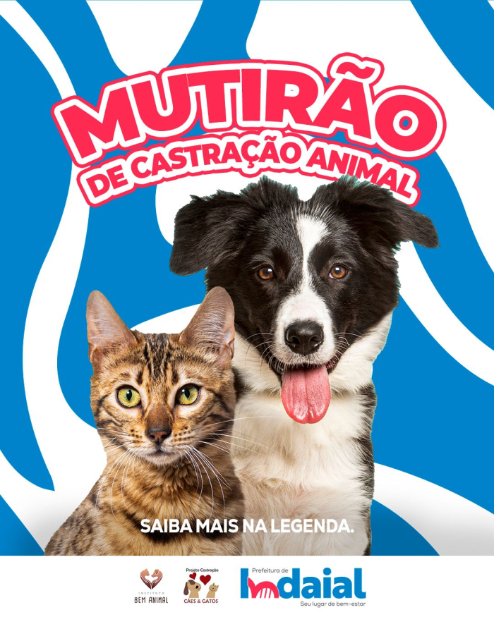 Mutirão de Castração de Cães e Gatos acontece em Indaial no domingo (14)