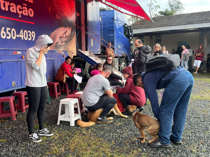 Prefeitura de Indaial abre inscrições para programa de castração gratuita de cães e gatos