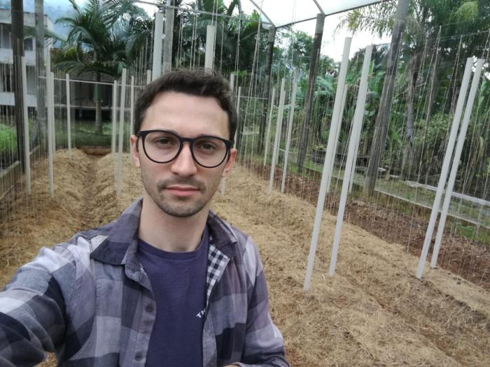 O peso da alimentação saudável