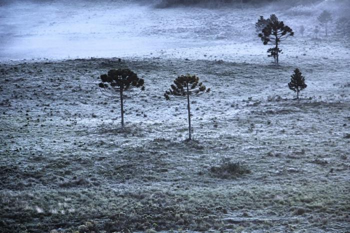 Frente fria de fraca intensidade na quarta e na quinta com geada em SC