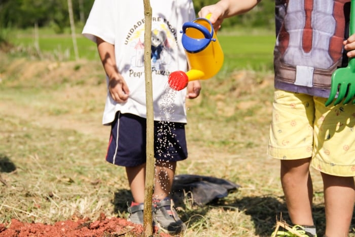 Como está o meio ambiente de Timbó?