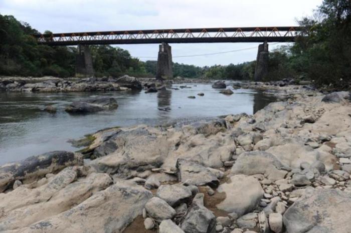 Estiagem causa prejuízos para lavouras catarinenses