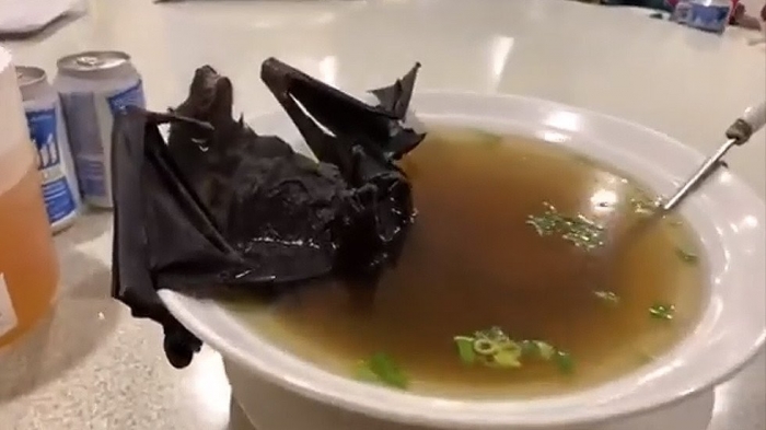 Sopa de morcego e carne de cobra podem ter relação com surto de vírus na China