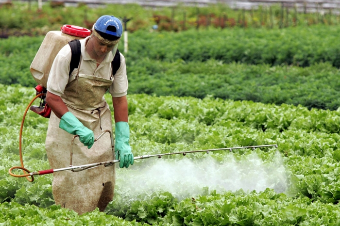 Santa Catarina pretende manter isenção de impostos para defensivos agrícolas
