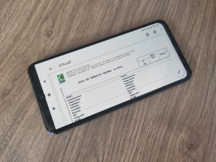 Estado passa a aceitar Guia de Trânsito Animal em formato digital