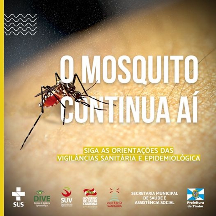 Timbó não registra casos de dengue