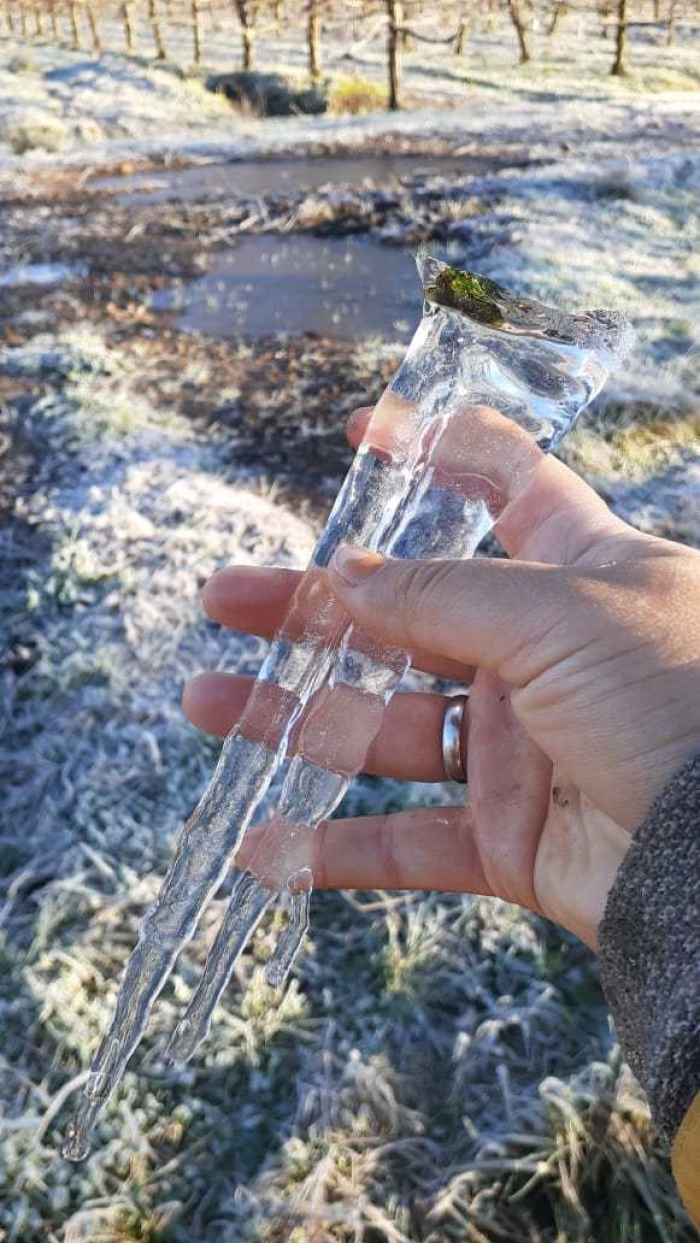 Quinta-feira começa com temperaturas negativas em SC e previsão é de sol para todo estado