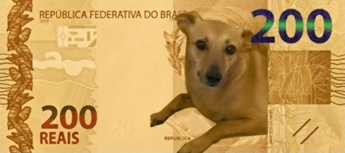 Banco Central diz estudar ação para vira-lata caramelo após petição para ele estar na nota de R$ 200 viralizar