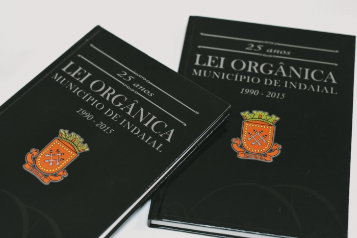 Câmara aprova em primeiro turno projeto que permite posse de suplente no caso de licença-maternidade