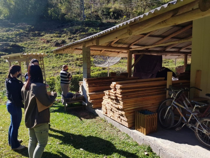 Operação atua contra extração ilegal de madeira no Médio Vale do Itajaí