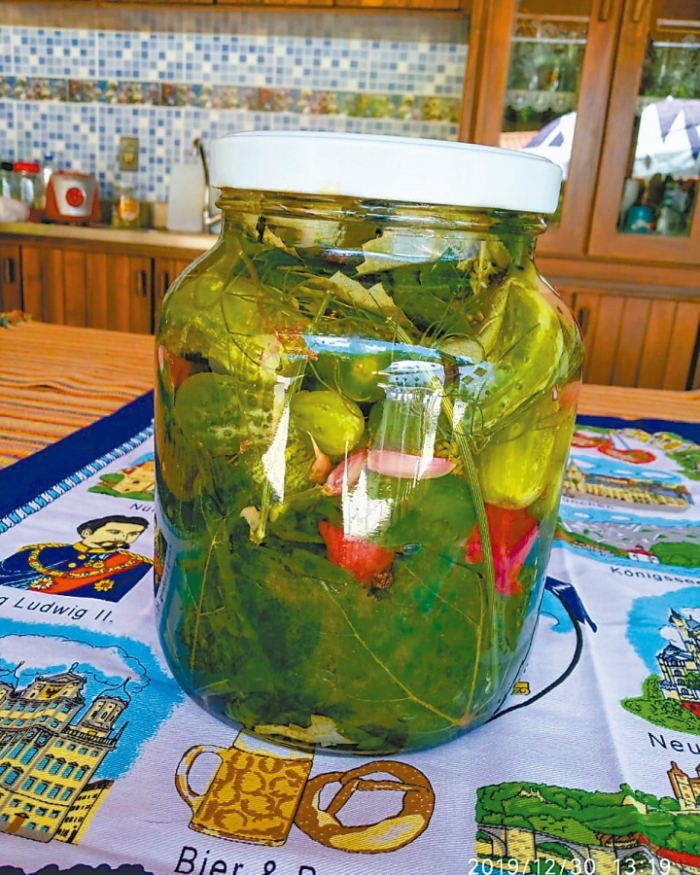 Salzgurken. Pepino na salmoura