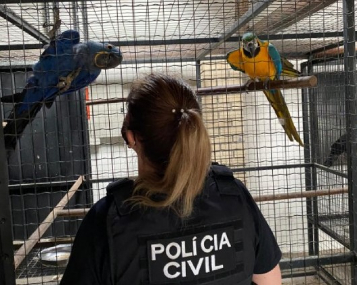 Polícia Civil deflagra a Operação “Bioma” em combate ao tráfico de animais silvestres em SC e dois Estados