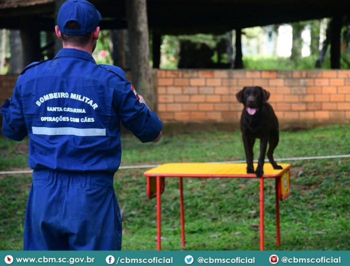 Filhotes do Corpo de Bombeiros Militar de SC estão a um passo da operacionalização