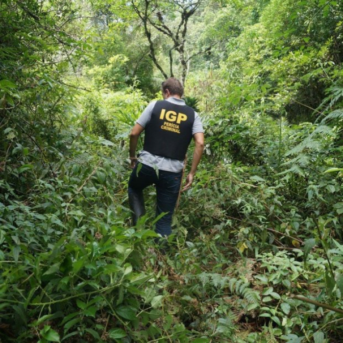IGP realiza força-tarefa para acelerar a resposta da perícia em relação a crimes ambientais em SC