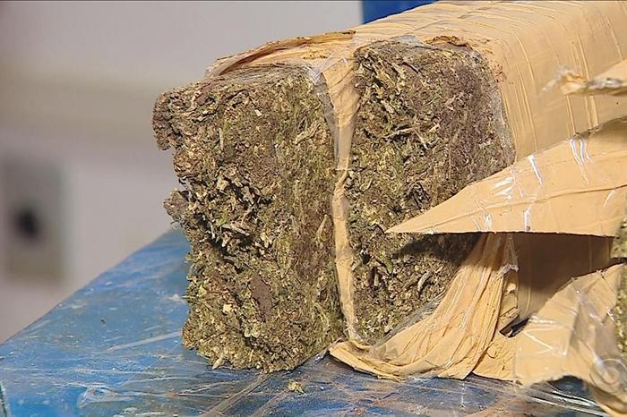 Apreensão histórica de drogas em SC