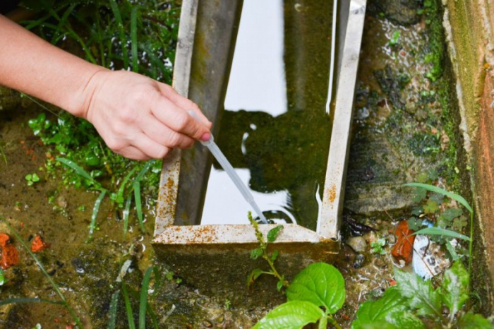 SC tem aumento de 99% de focos do mosquito da dengue em relação ao ano passado