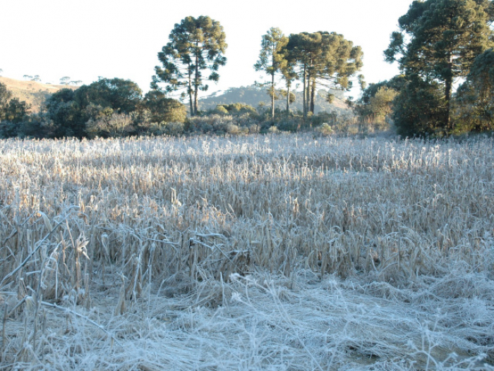 La Niña deixa verão mais ameno e antecipa chegada do frio em Santa Catarina