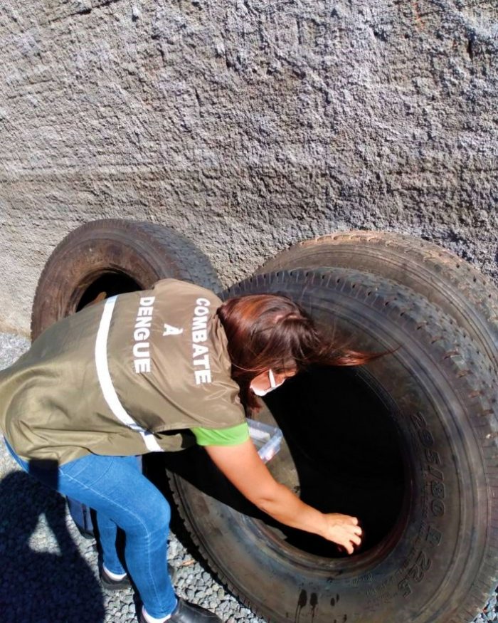 Vigilância Sanitária de Timbó atua de forma intensa na fiscalização e prevenção do mosquito Aedes Aegypti