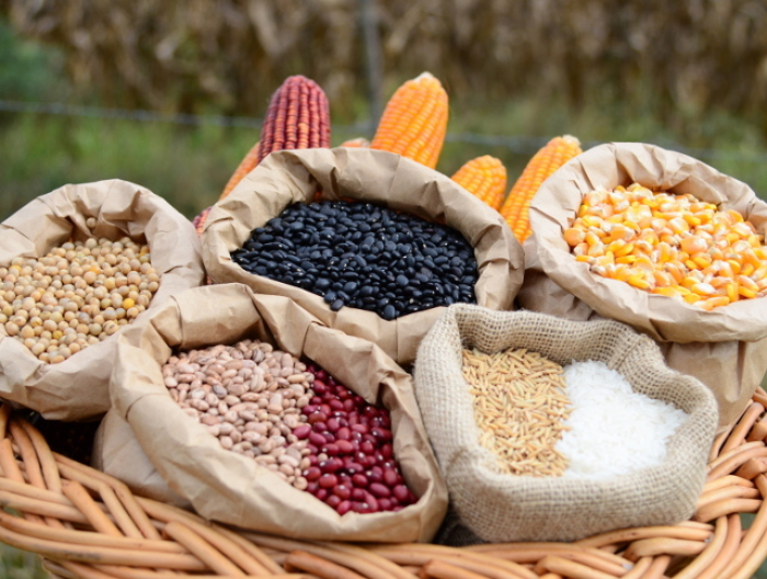 Santa Catarina alcança o maior valor de produção agropecuária da história