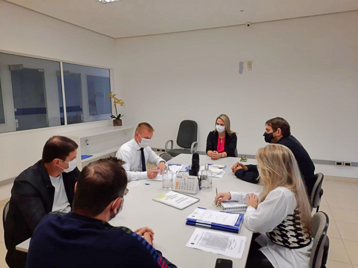 Resumo da Comissão de Legislação, Justiça e Redação Final