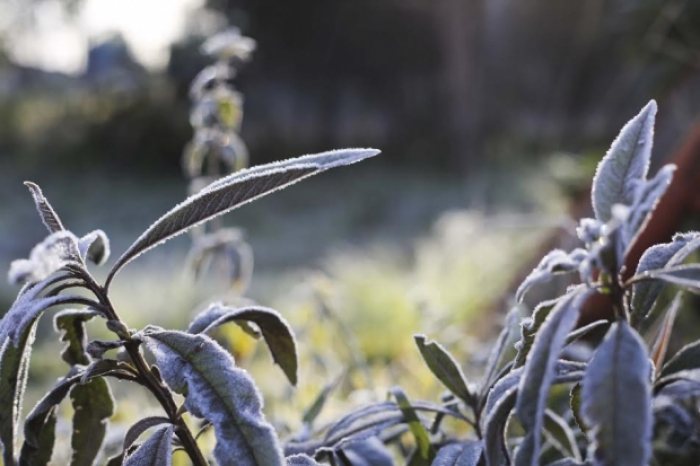 Massa de ar polar avança e deve baixar as temperaturas a partir desta terça (27)