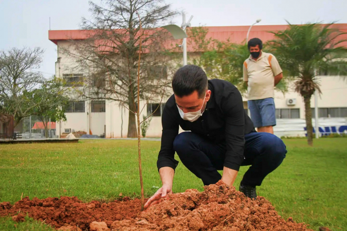 Prefeitura de Timbó e SAMAE realizam plantio de árvores no Parque Central