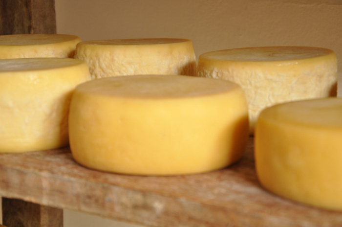 Alesc vai votar regulamentação da lei do queijo colonial artesanal