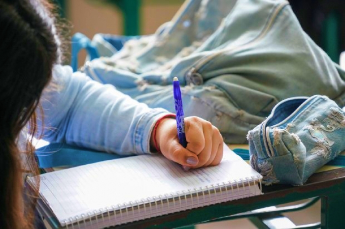 Auxílio financeiro para estudantes da rede estadual de Santa Catarina é aprovado na Alesc