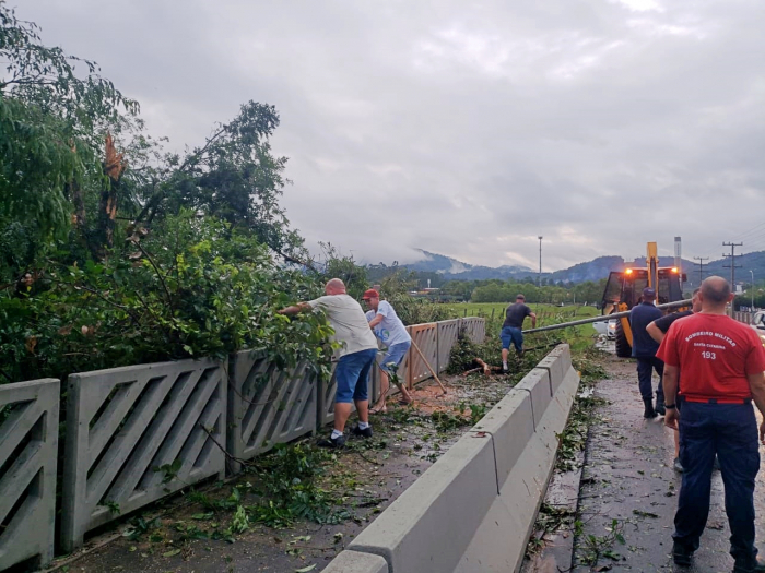 Defesa Civil confirma que tornado atingiu SC durante tempestade em Timbó